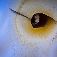 Abstracts