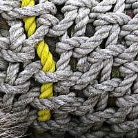 IMG_0270.jpg