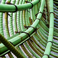 P5224202-Edit.jpg