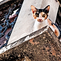 P3030009-Edit-2.jpg