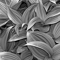 P4293128-Edit.jpg