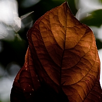_3216972.jpg