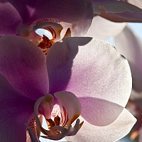 _3217038.jpg