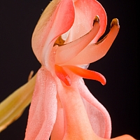 _C018549.jpg