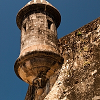P2299372.jpg