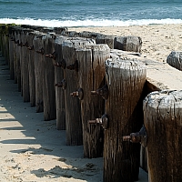 P6024794-Edit.jpg