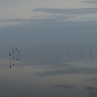 PA091320.jpg