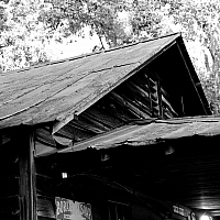 PA131785.jpg