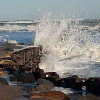 PA203105.jpg