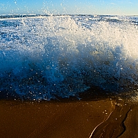 PA203164-Edit.jpg