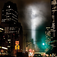 _9116865.jpg