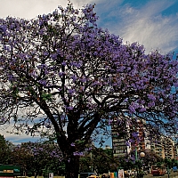 _C018161-Edit.jpg