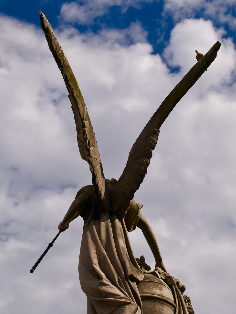 Estatua con Paloma – Buenos Aires, Argentina